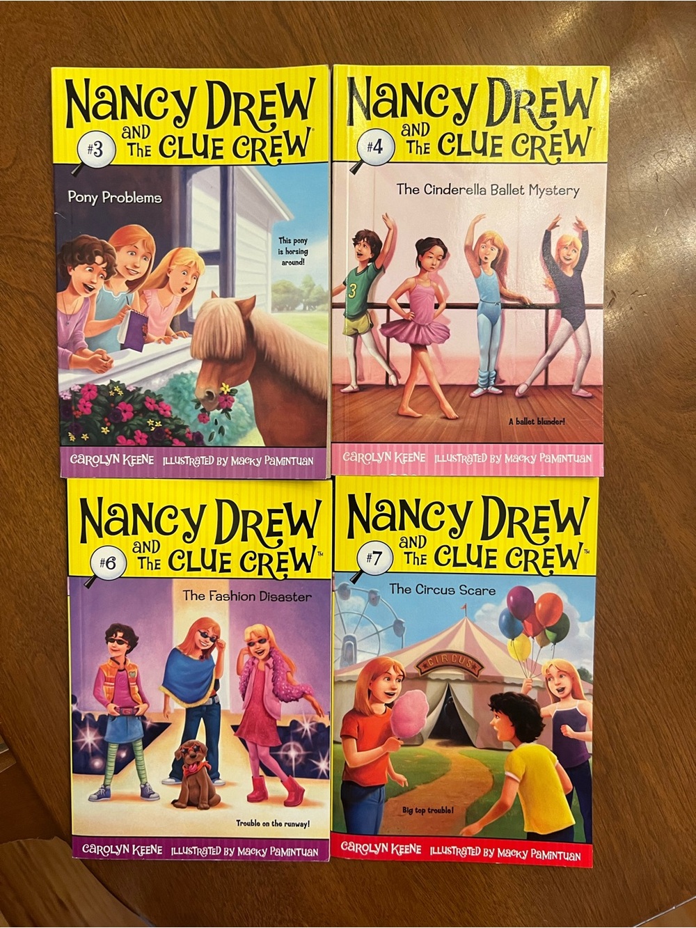 Bundle of 4 Nancy Drew and the Clue Crew Mystery Book Set